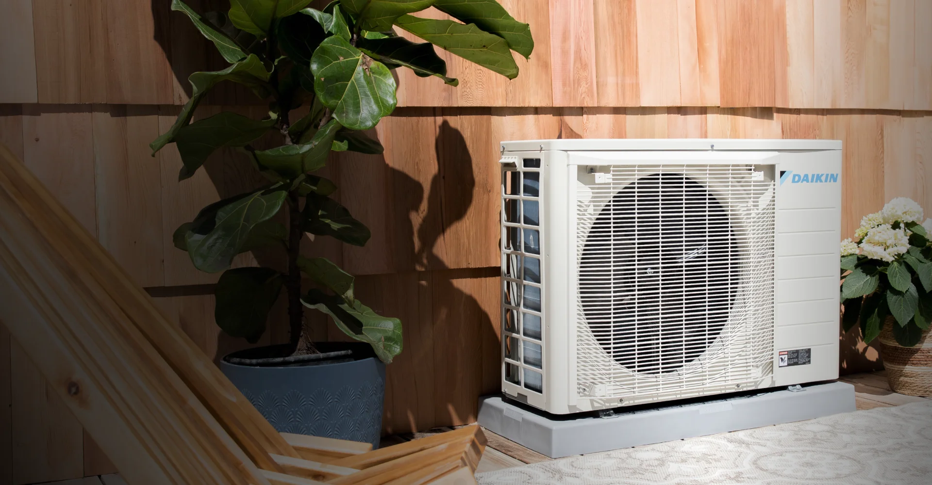 Air Condition and a plant